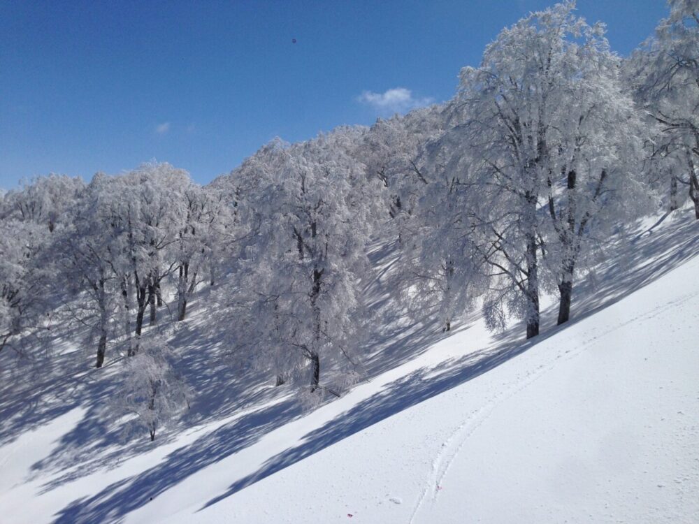 登山初心者必見 山の危険性や遭難したときの対策を紹介 前編 Green アンドグリーン 昔 今 これから 山のリアルを伝えるメディアサイト